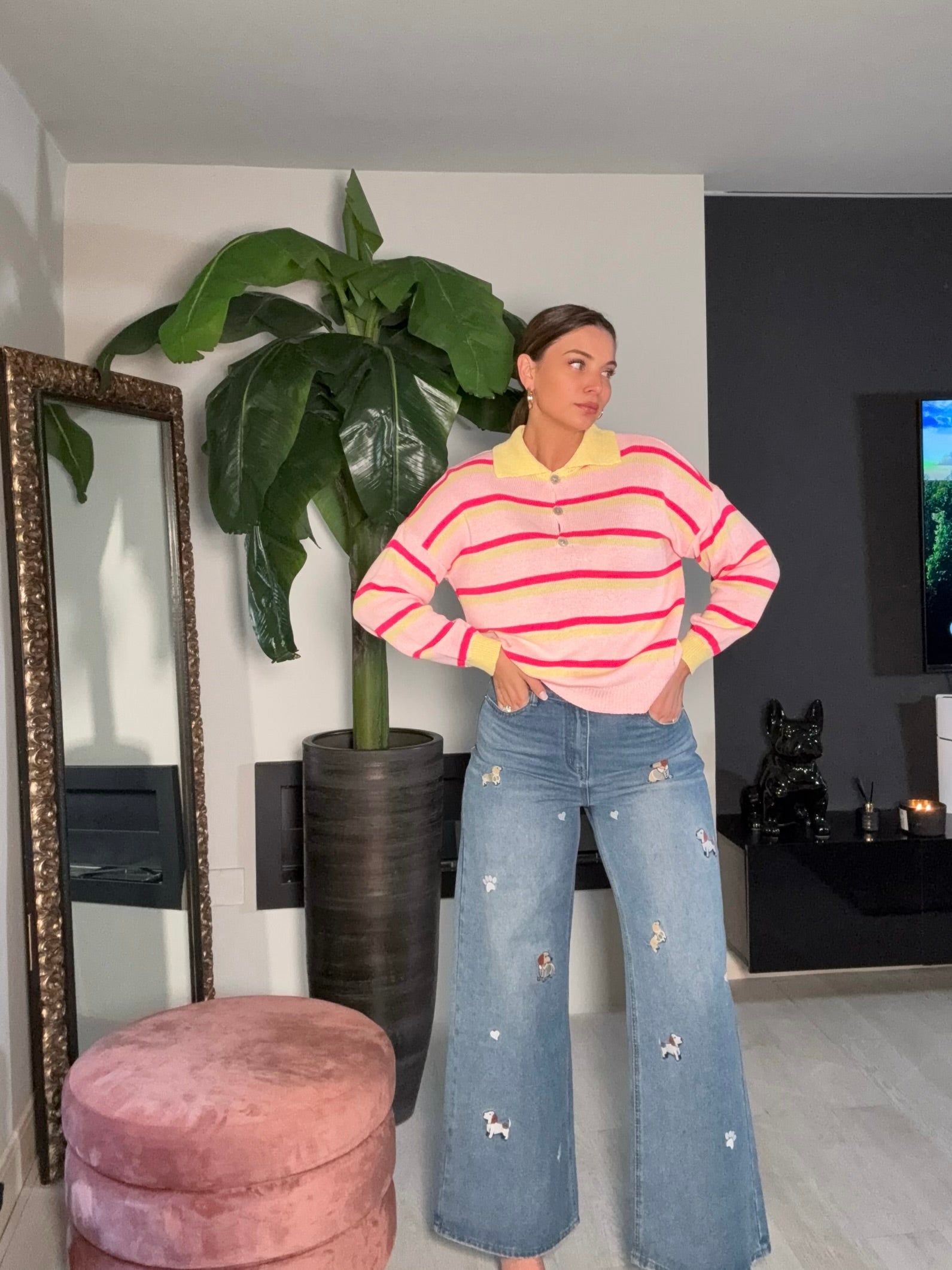 Jeans Penny bassotto